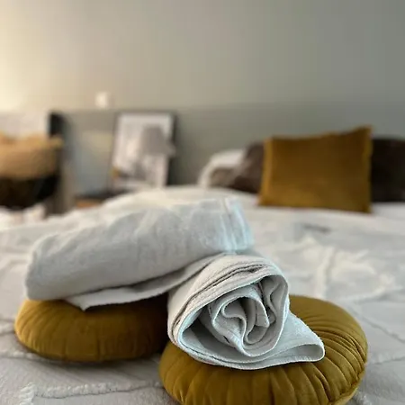 Le Delice - Coeur De Climatiser Lejlighed *