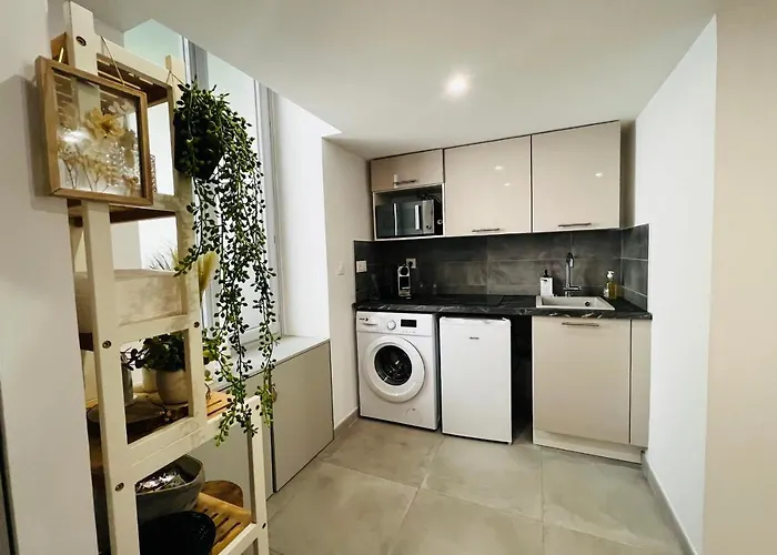 Le Delice - Coeur De Climatiser Apartment