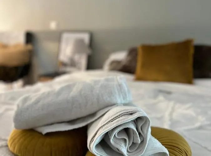 Le Delice - Coeur De Climatiser Apartment *