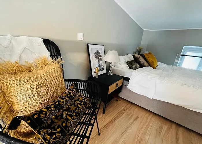 Le Delice - Coeur De Climatiser Apartment *