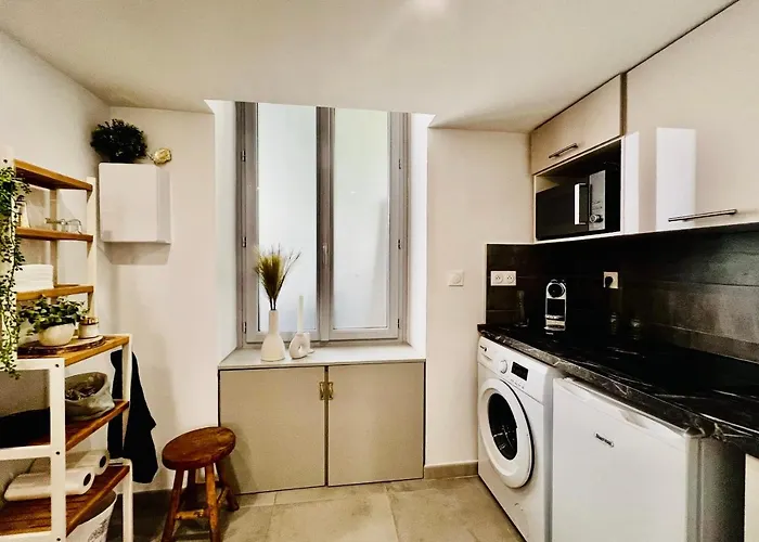 Le Delice - Coeur De Climatiser Apartment